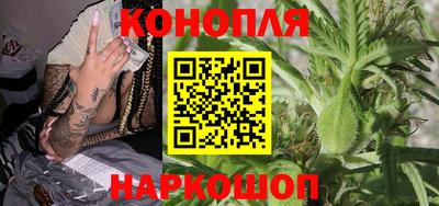 гашик Кунгур