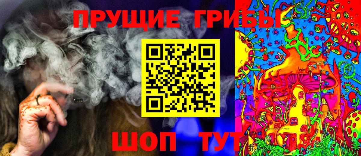 Галлюциногенные грибы Psilocybe Коряжма